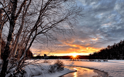 Winter Solstice – Winter Wellbeing